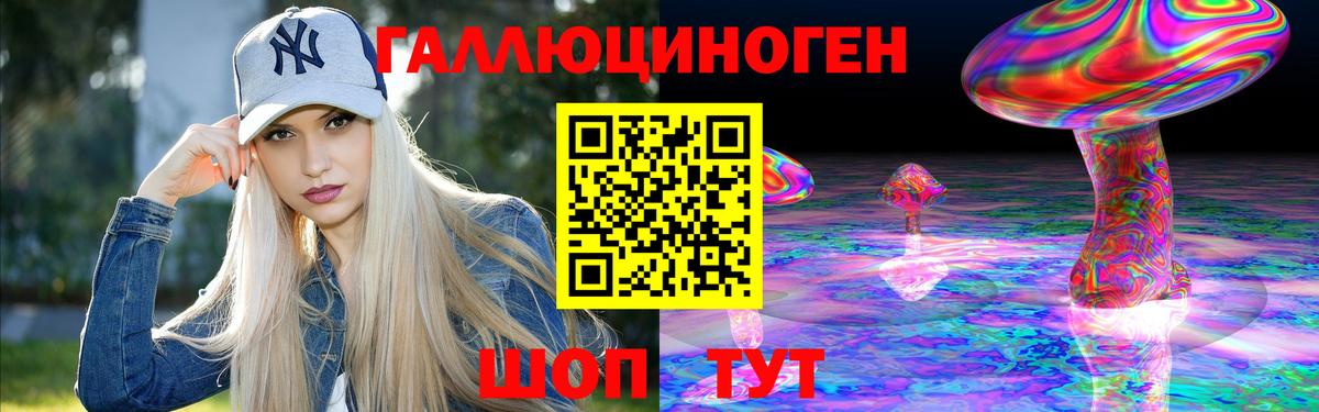 Котовск  Галлюциногенные грибы Psilocybine cubensis  Вход с VPN 